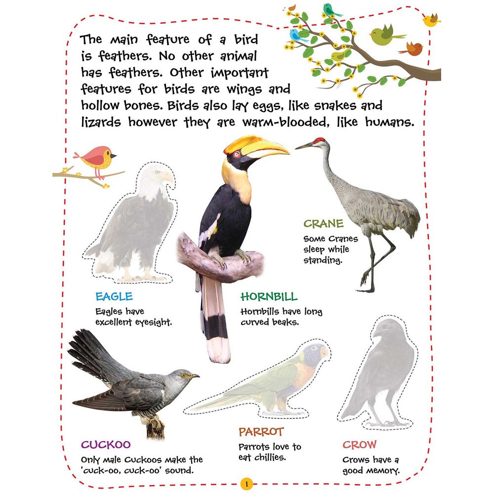 Play With Sticker Book - Birds