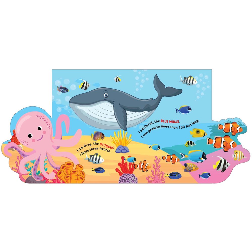 Flap Book - Under The Ocean