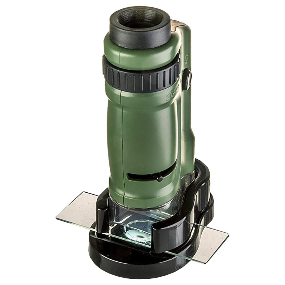 Carson - BigEye Magnifiers With 5-inch Lens - Green