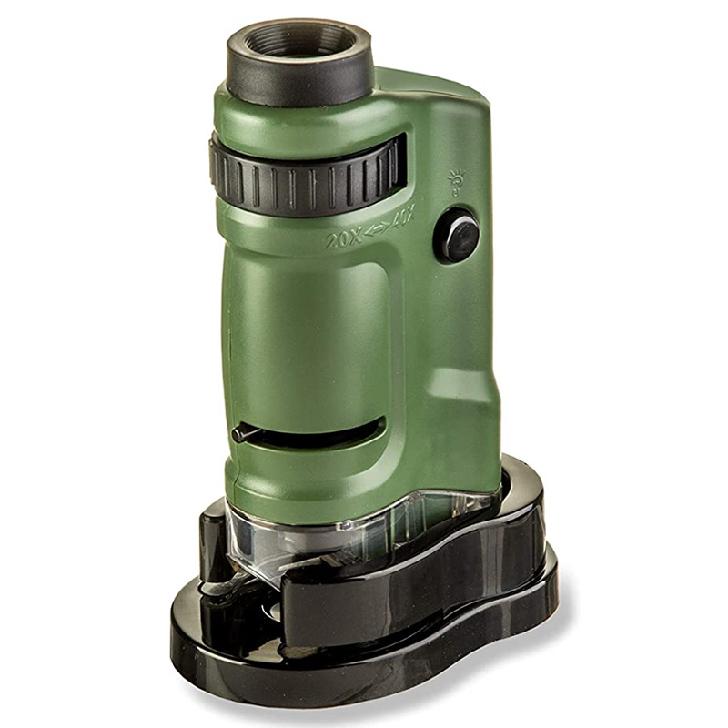 Carson - BigEye Magnifiers With 5-inch Lens - Green