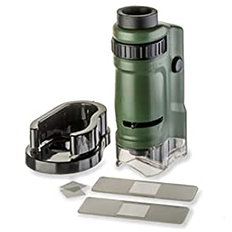 Carson - BigEye Magnifiers With 5-inch Lens - Green