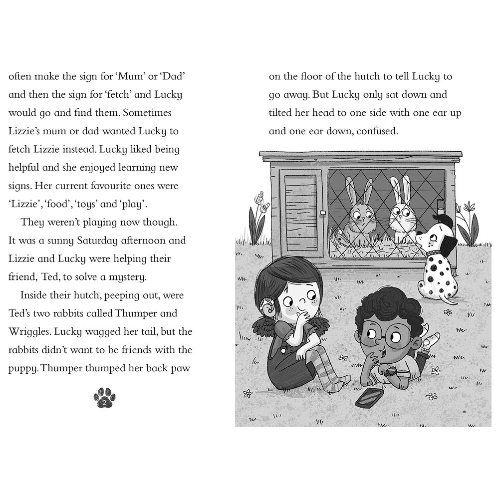 Lizzie And Lucky: The Mystery Of The Disappearing Rabbit 