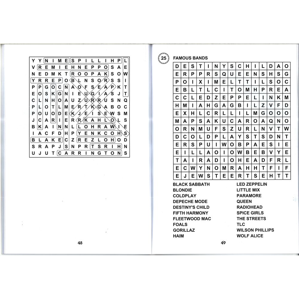 Large Print Wordsearch Puzzle Book 