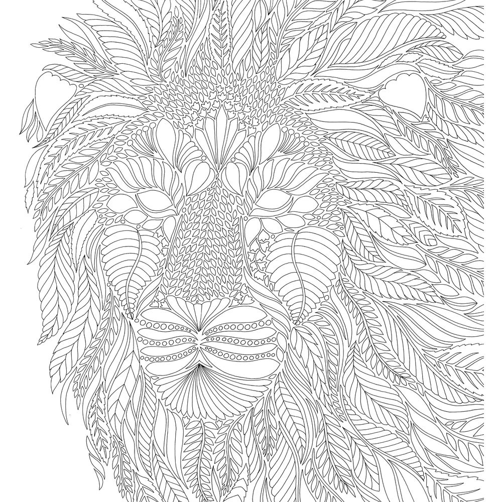 Millie Marotta's Wild Savannah Colouring Book