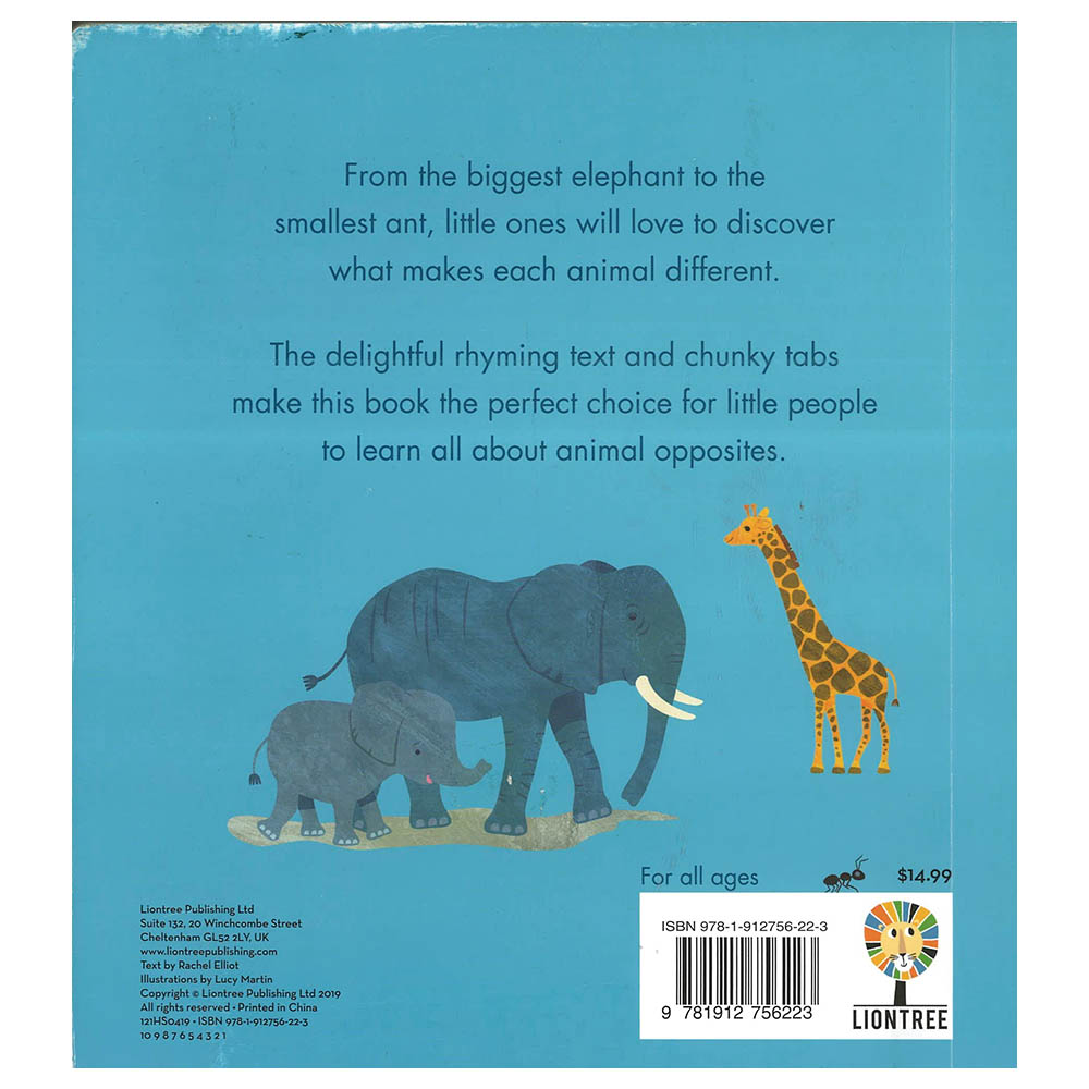 My Book Of Opposites Big Small Short Tall