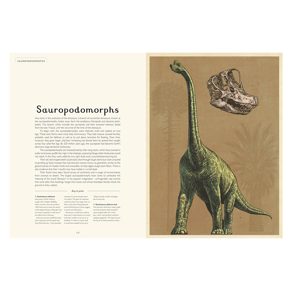 Dinosaurium