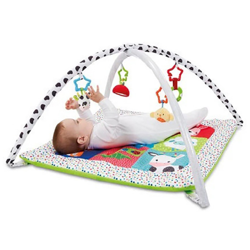Early Learning Centre - Blossom Farm Activity Play gym