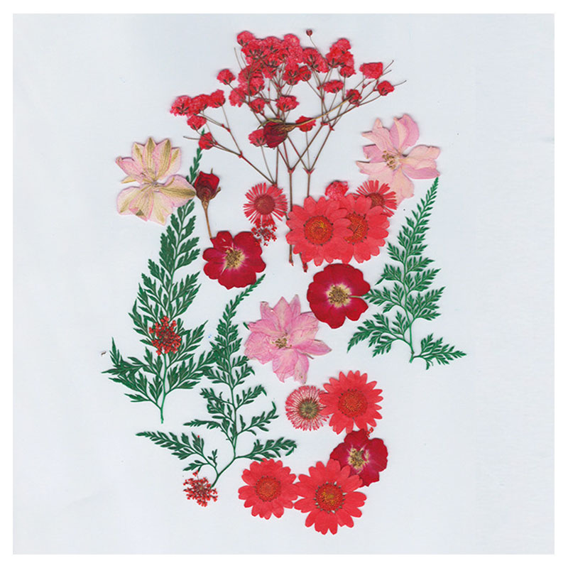 Graffiti Resin Dried Flowers Collection No. 15 For Artworks