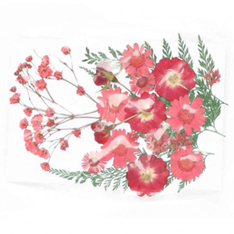 Graffiti Resin Dried Flowers Collection No. 15 For Artworks