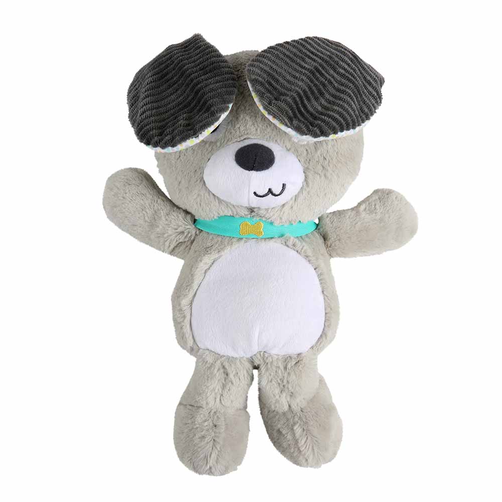 Bright Starts - Belly Laughs Puppy Plush Toy