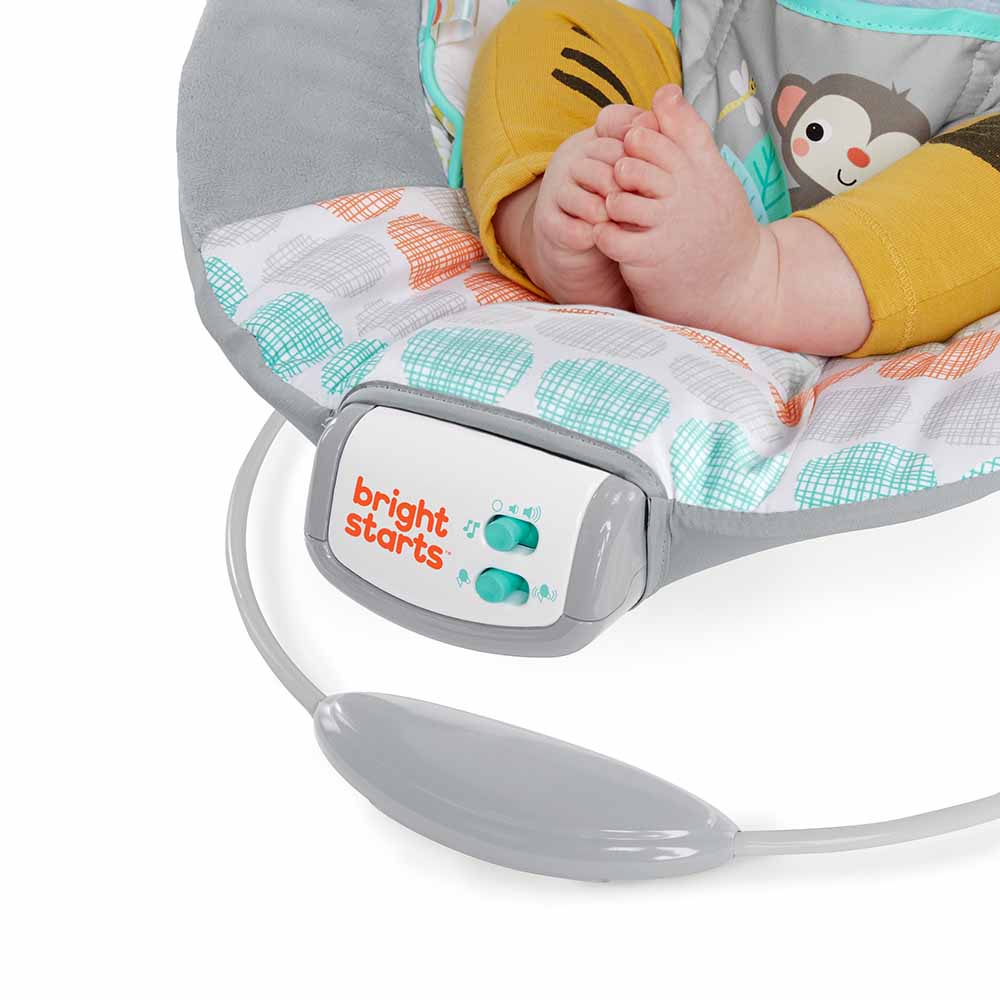 Bright Starts - Whimsical Wild Cradling Bouncer