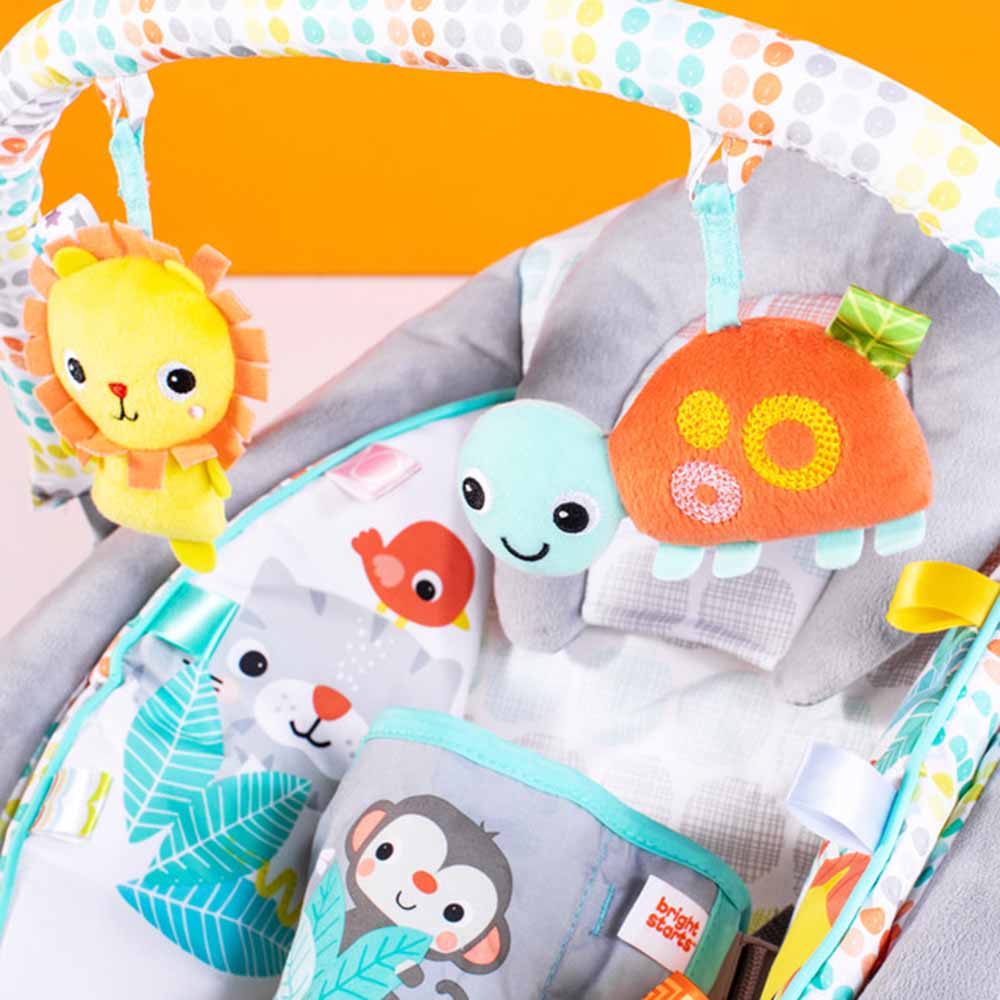 Bright Starts - Whimsical Wild Cradling Bouncer
