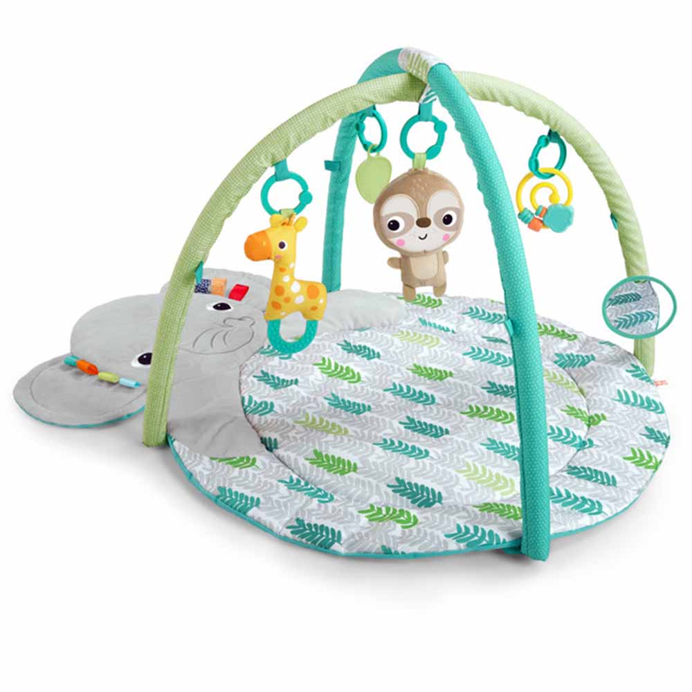 Bright Starts - Hug 'N Cuddle Activity Gym