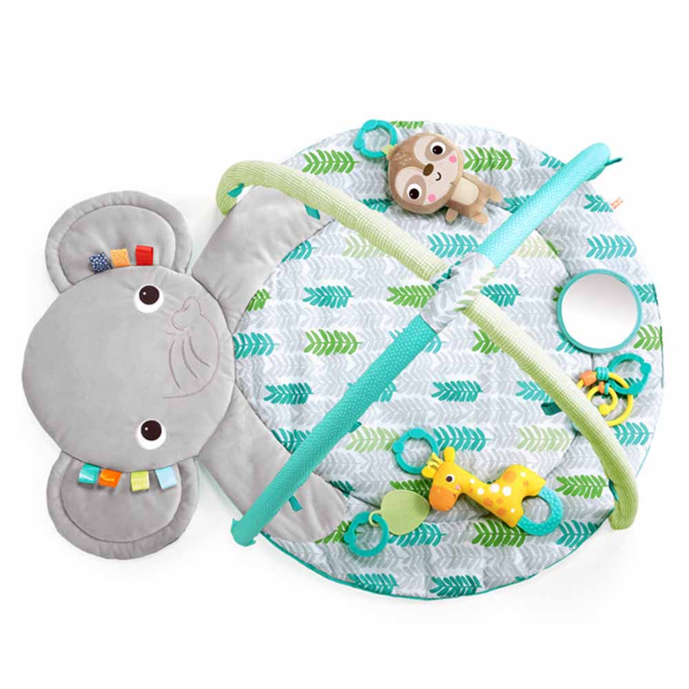 Bright Starts - Hug 'N Cuddle Activity Gym