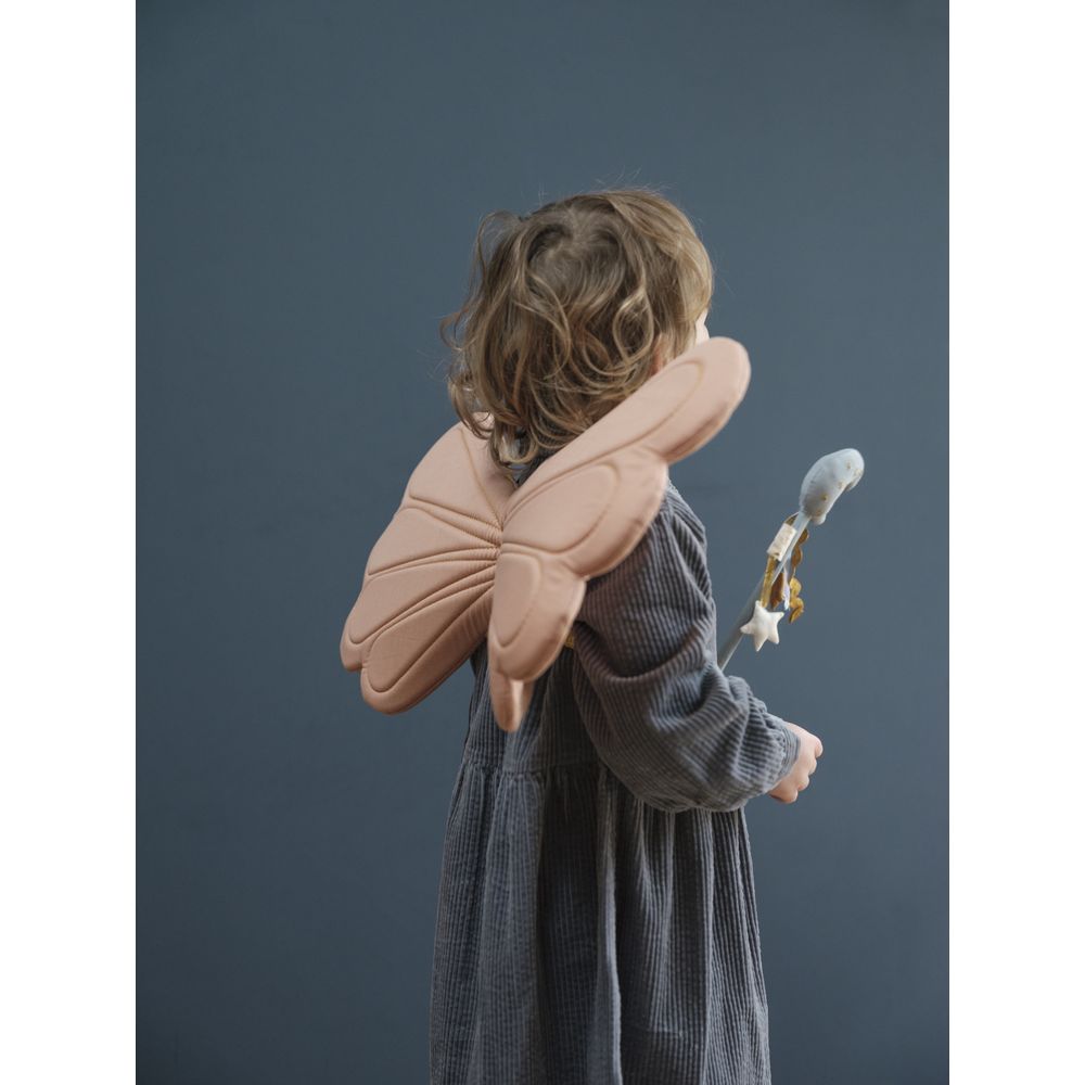 Organic Dress up/ Costume - Rainbow Rose Wings