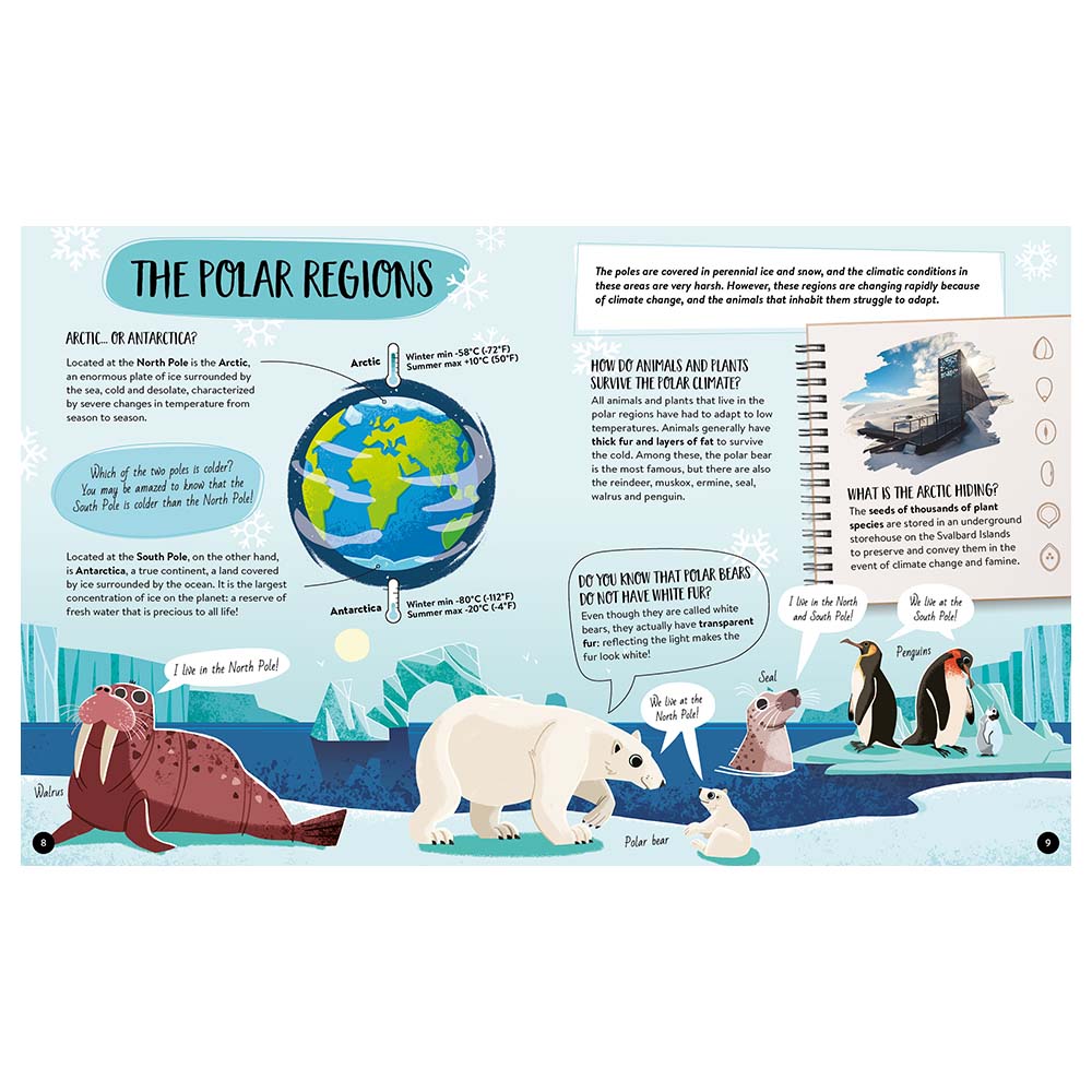 Sassi Junior - The Earth Book