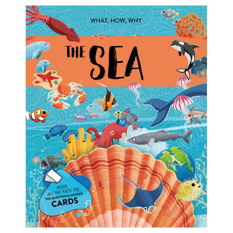 Sassi - The Ultimate Atlas The Sea Activity Box