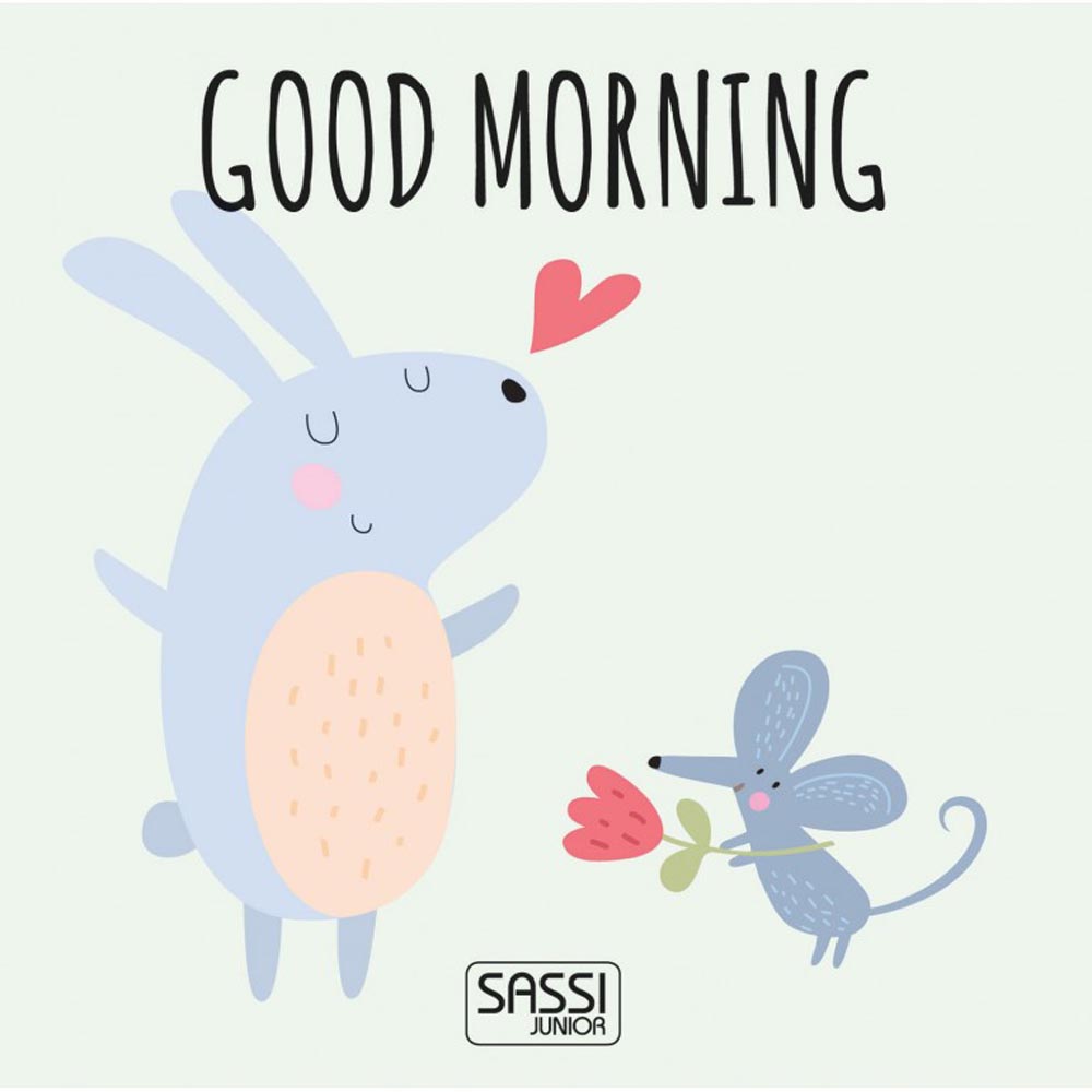 Sassi Junior - Eco-Blocks & Book - Good Morning Shapes