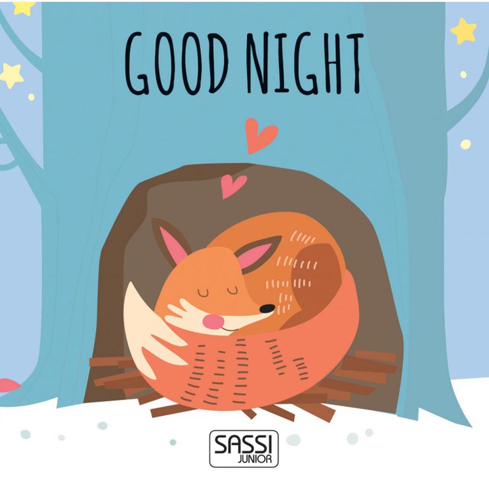 Sassi Junior - Eco-Blocks & Book - Good Night Shapes