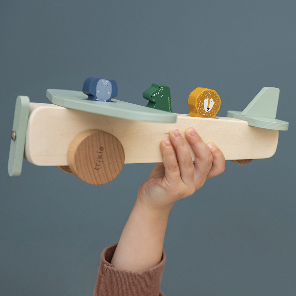 Trixie - Wooden Animal Airplane