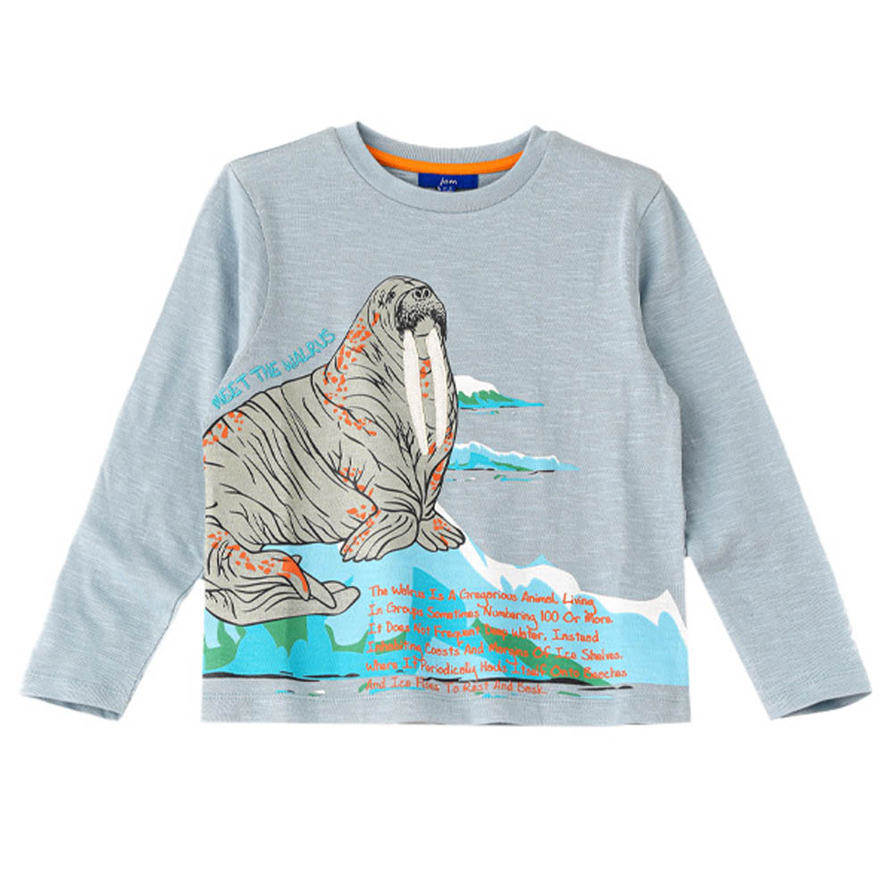 Jam Printed Knitted Full Sleeve T-Shirt - Blue