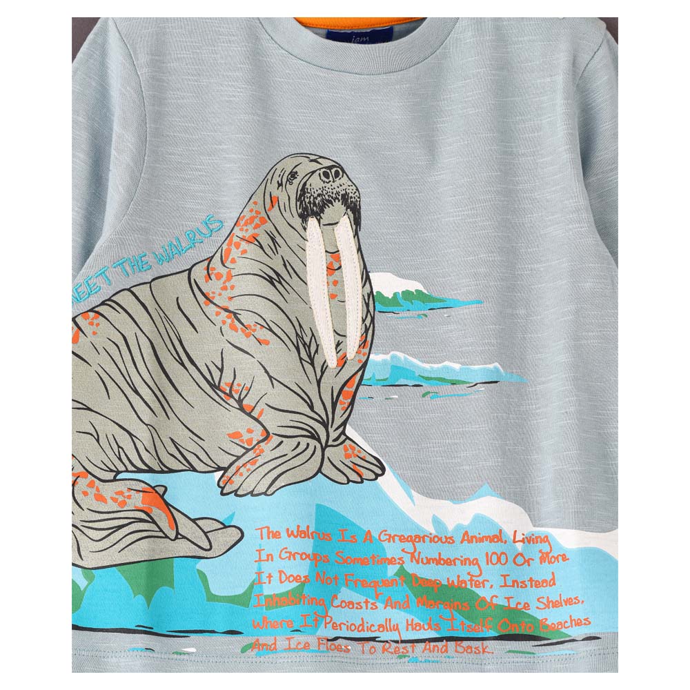 Jam Printed Knitted Full Sleeve T-Shirt - Blue