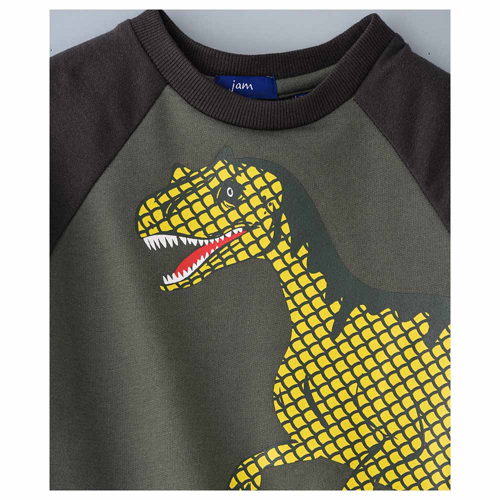 Jam Printed Knit Long Sleeves Sweat Shirt Olive - Green