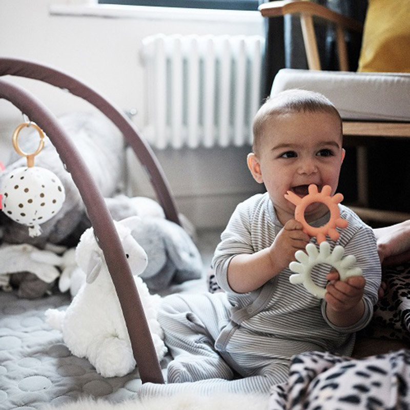 BORRN - Silicone BPA Free Non-Toxic Teether Snail - Orange