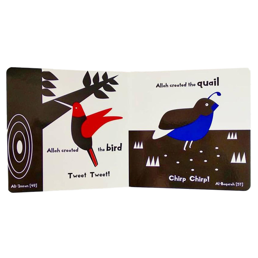 الحشرات والطيور في القرآن الكريم!