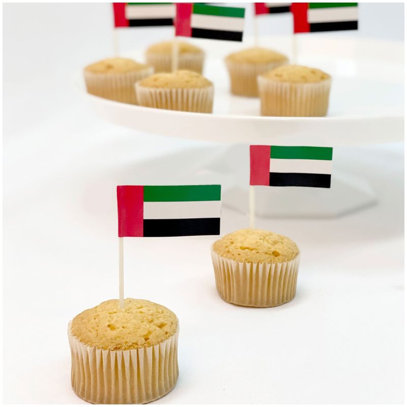 Party Centre - UAE Flag Picks Plastic & Paper - 30pcs