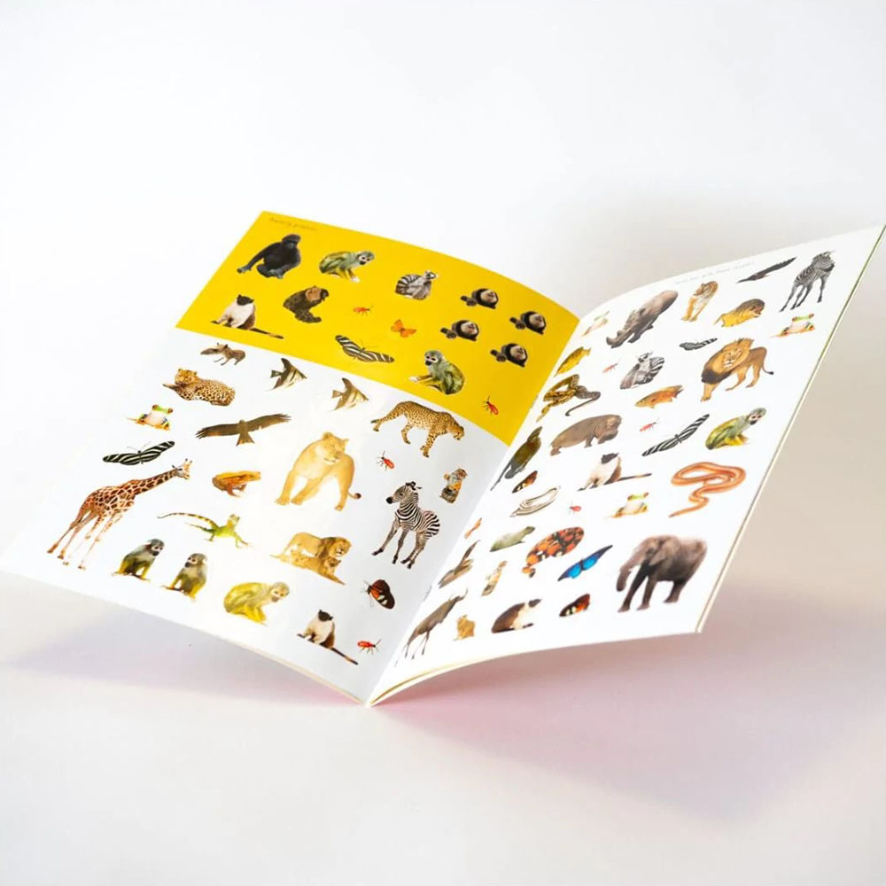 Colourvue - In The Wild Sticker Activity Book