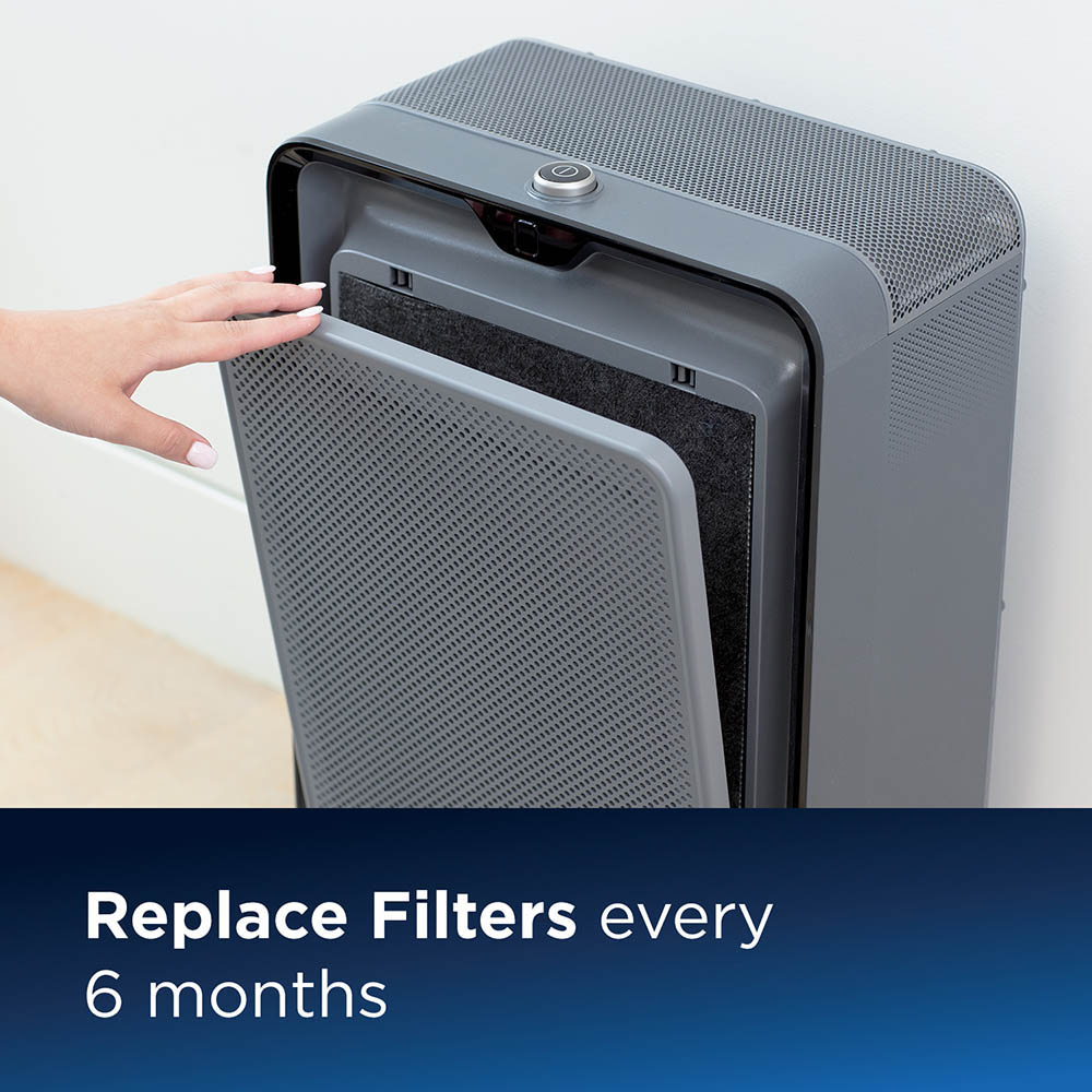 Bissell Activated Carbon Filter Replacement 2677
