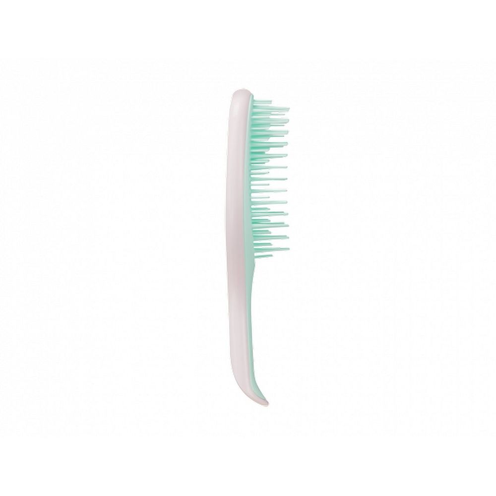 Tangle Teezer - Mini Wet Detangler Mint and Pink