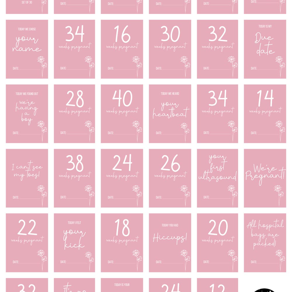 Twinkle And Giraffe - Pink Dandelion Pregnancy Cards 30C
