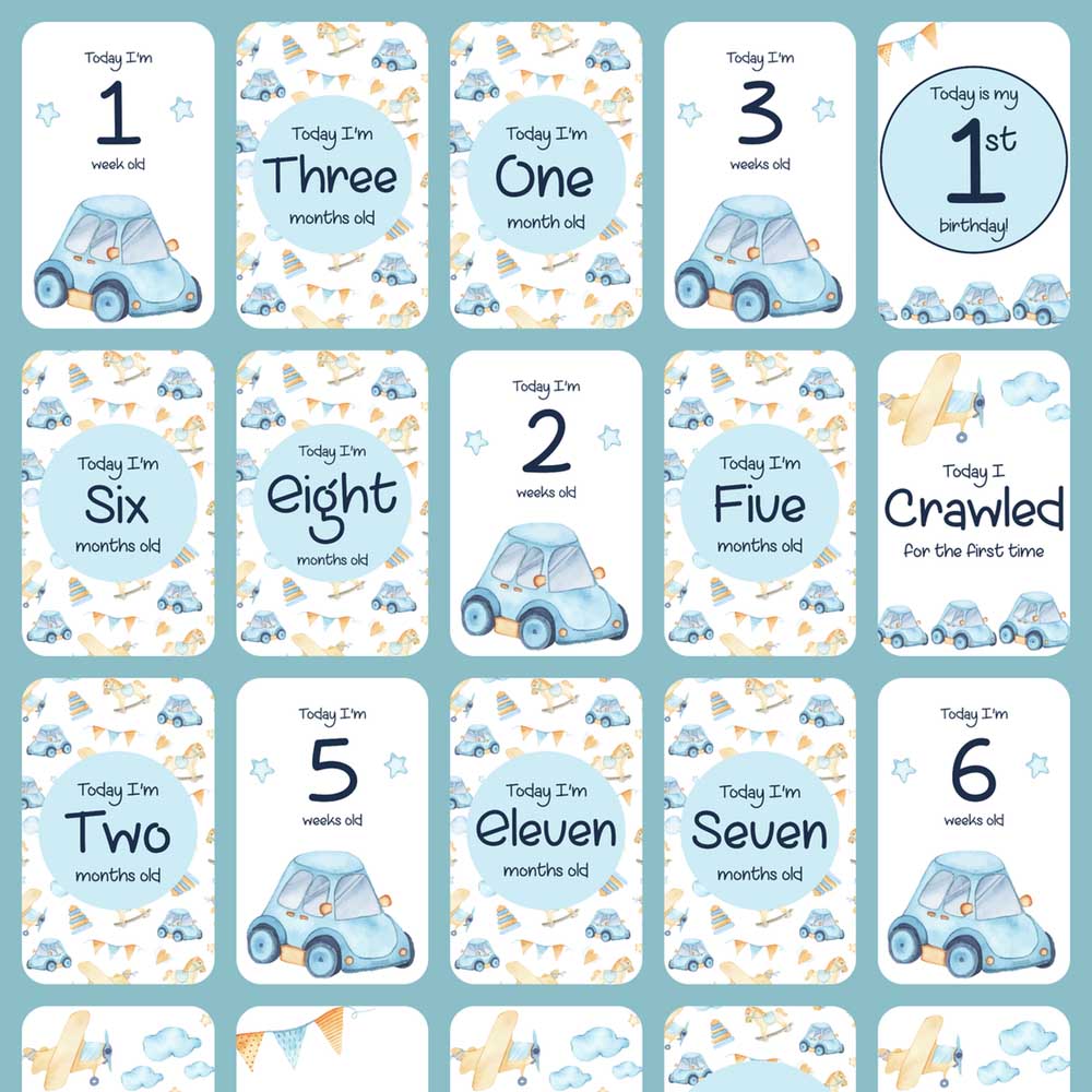Twinkle And Giraffe - Car Baby Milestone Cards 25C