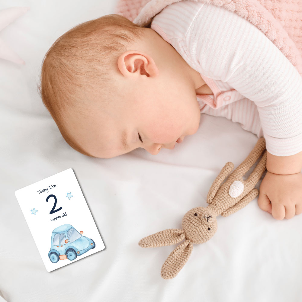 Twinkle And Giraffe - Car Baby Milestone Cards 25C