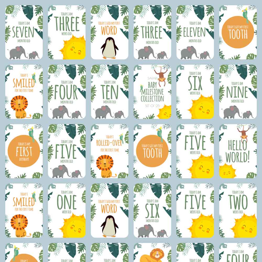 Twinkle And Giraffe - Safari Baby Milestone Cards 25C