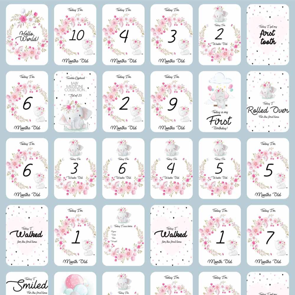 Twinkle And Giraffe - Elephant Baby Milestone Cards 25C