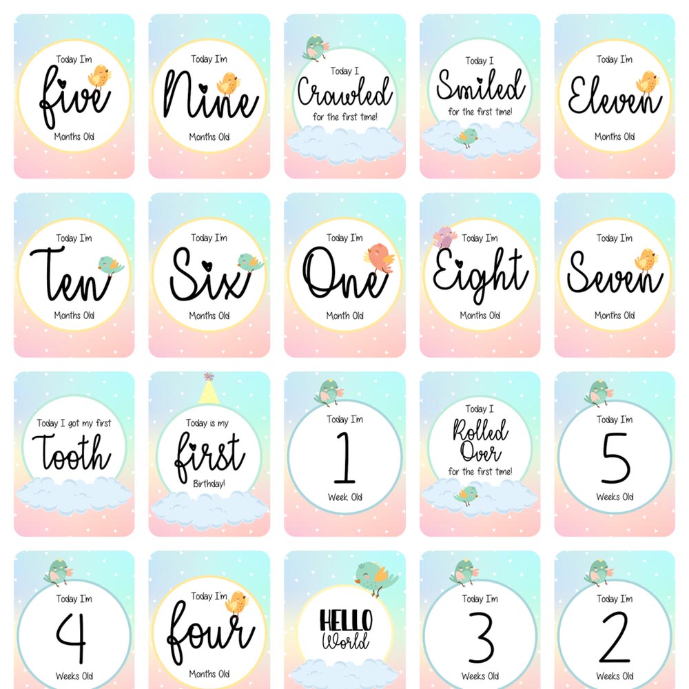 Twinkle And Giraffe - Birds Baby Milestone Cards 25C