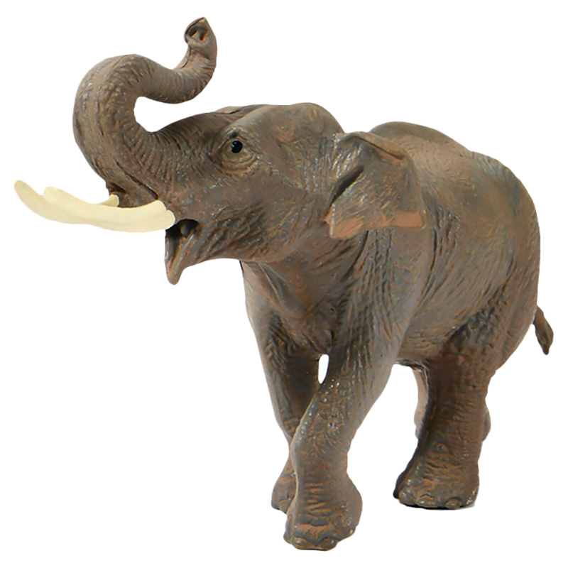 Mideer - Safari Animal Collectibles 5pcs