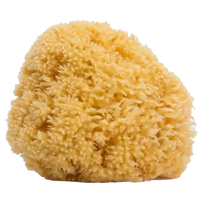 Suavinex - Natural Sponge - Large