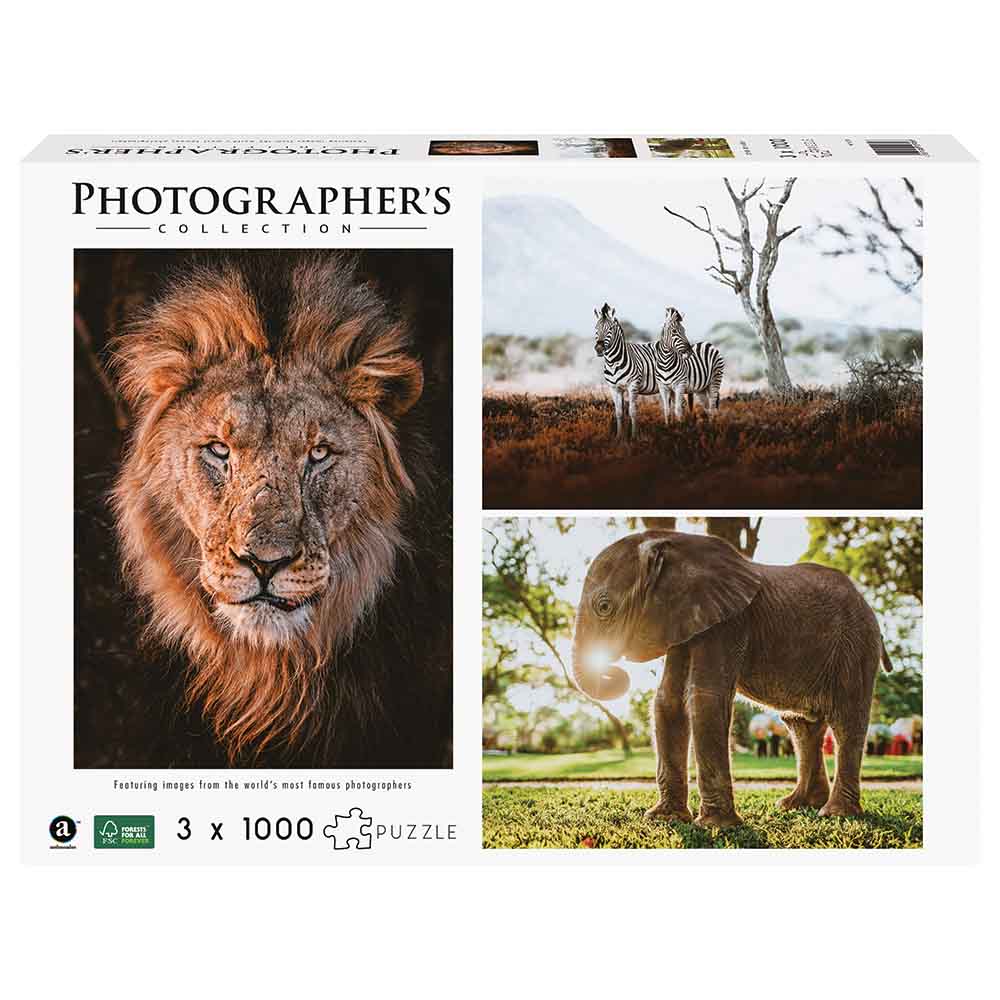 Ambassador Games - Photographers Collection Puzzle - Boyd 3