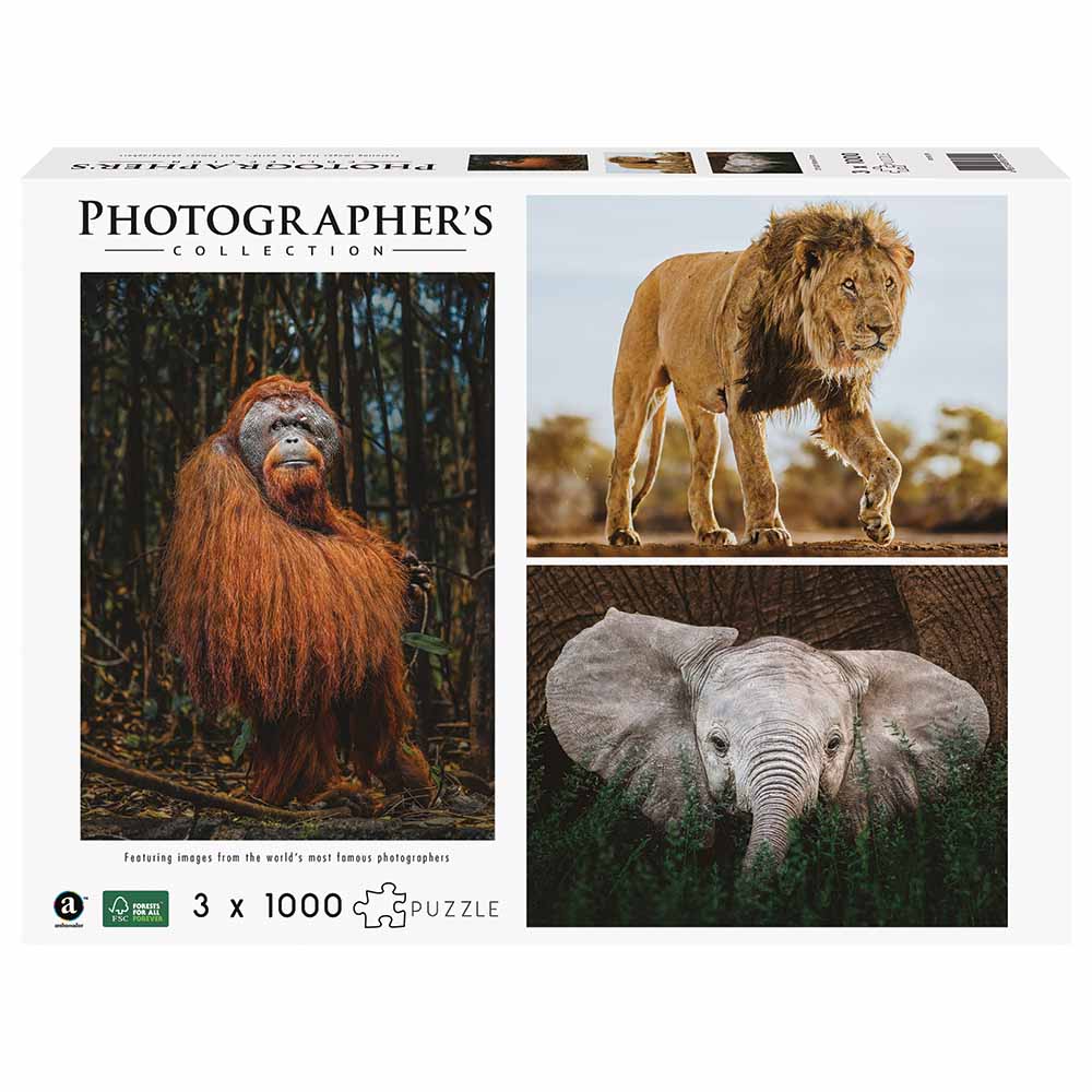 Ambassador Games - Photographers Collection Puzzle - Boyd 4
