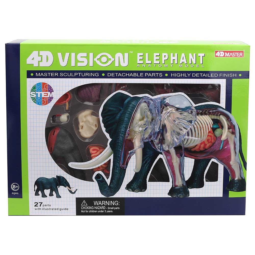 Chap Mei - 4D Elephant Anatomy - Grey