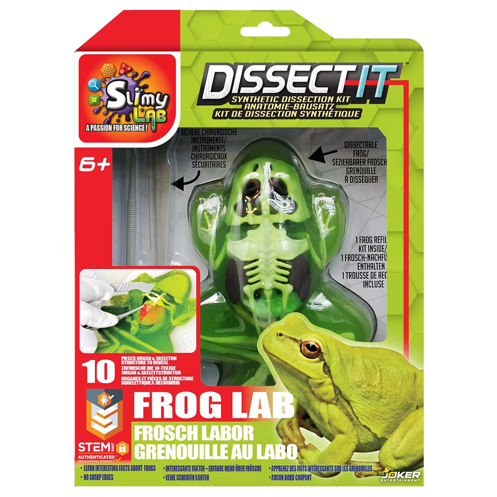 Slimy - Dissect It In Giftbox - Frog - Green